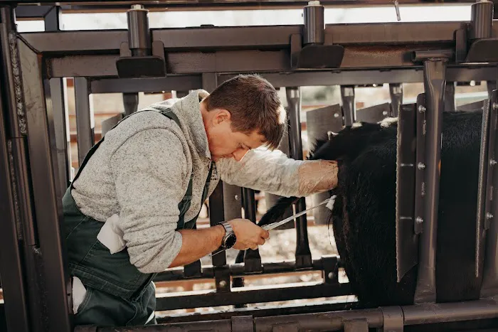 Washington Veterinary Clinic Picture 7