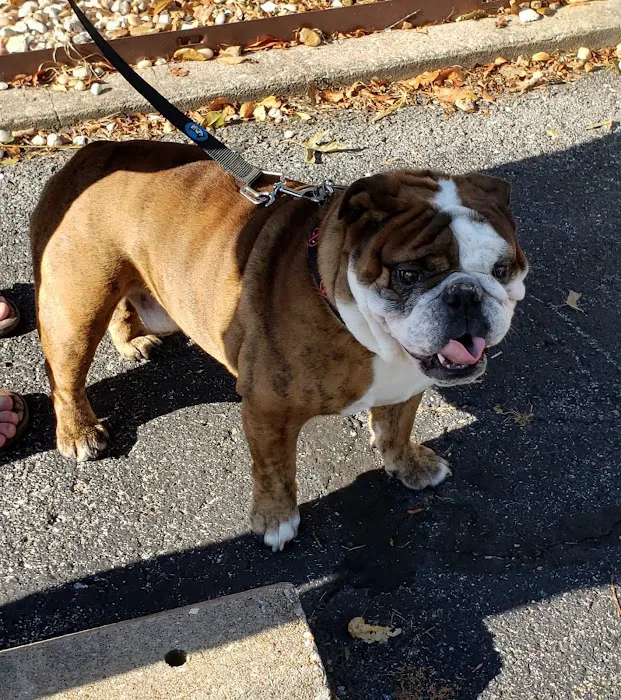 Monett Veterinary Hospital Picture 2