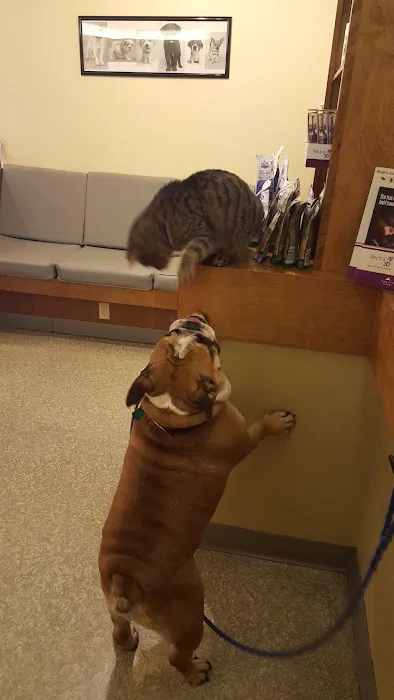 Monett Veterinary Hospital Picture 1