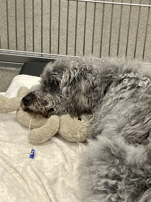 Monett Veterinary Hospital Picture 6