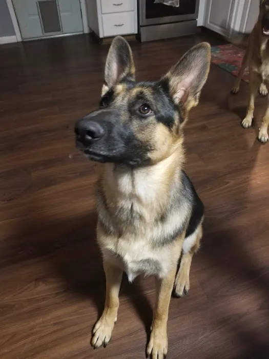 Monett Veterinary Hospital Picture 5