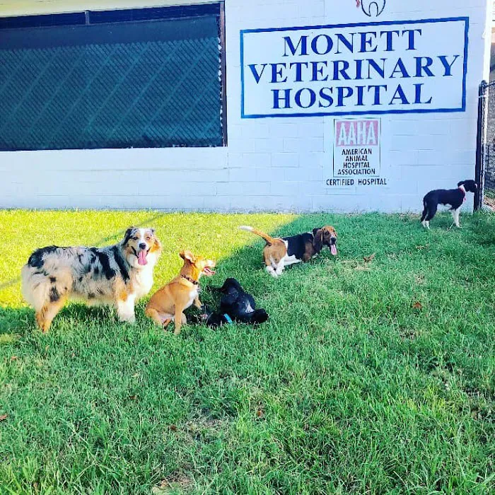 Monett Veterinary Hospital Picture 8