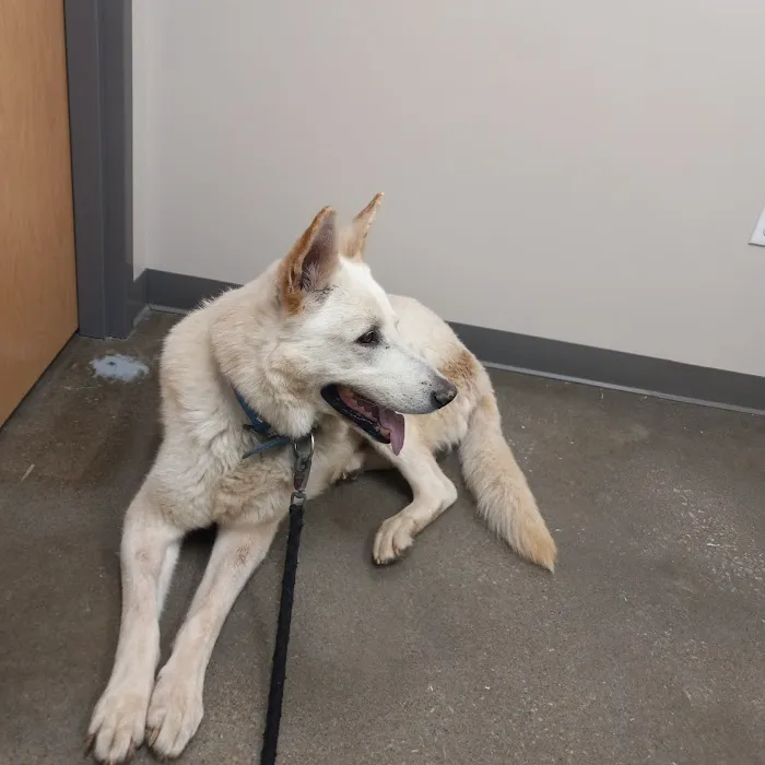 Monett Veterinary Hospital Picture 7