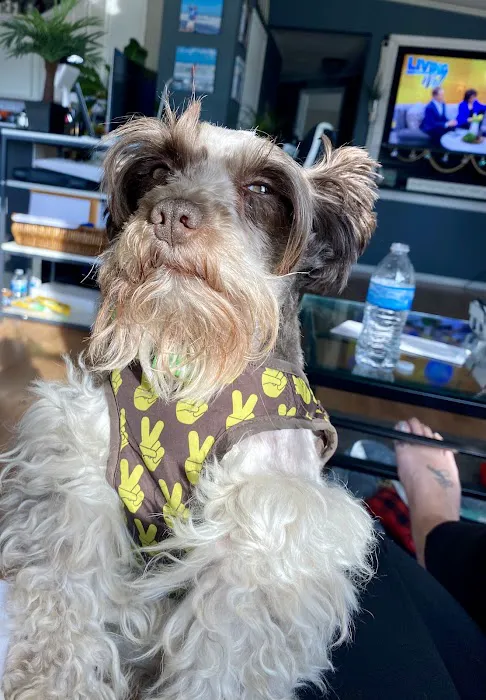 Country View Animal Clinic- Dr. Charles L Wallace DVM Picture 3