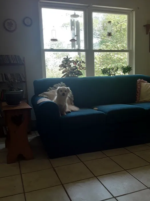 Animal Clinic of Pierce City, LLC Picture 3