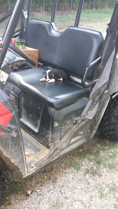 Animal Clinic of Pierce City, LLC Picture 6