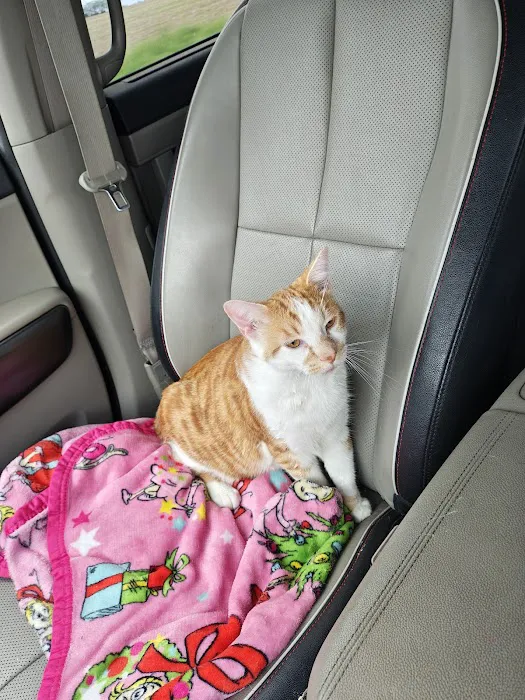 Animal Clinic of Sarcoxie Picture 3