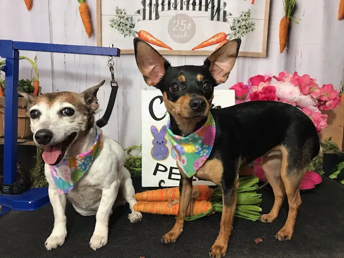 Animal Clinic of Sarcoxie Picture 4