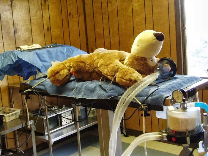 Herrin Animal Hospital Picture 1