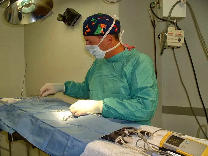 Herrin Animal Hospital Picture 4