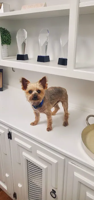 Herrin Animal Hospital Picture 5