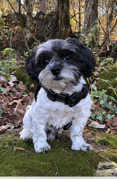 Herrin Animal Hospital Picture 2