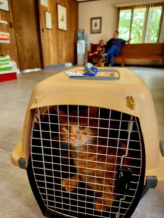 Herrin Animal Hospital Picture 3