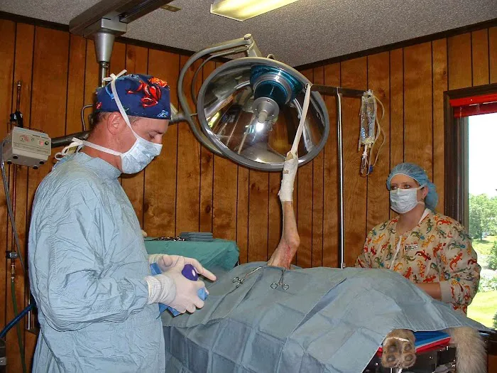 Herrin Animal Hospital Picture 9