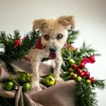 Animal Clinic of Diamond, LLC