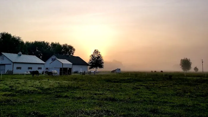 Eleven Point Equine Clinic Picture 1