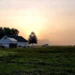Eleven Point Equine Clinic