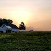 Eleven Point Equine Clinic ico