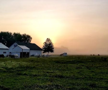 Eleven Point Equine Clinic