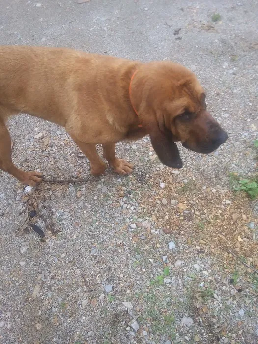 Eleven Point Equine Clinic Picture 3