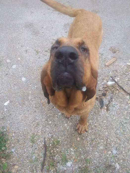 Eleven Point Equine Clinic Picture 4