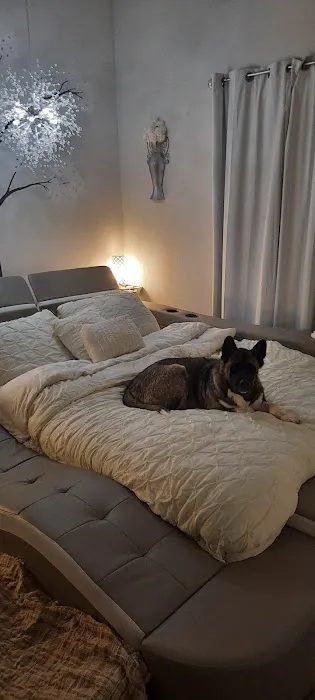 Animal Clinic of West Plains Picture 9