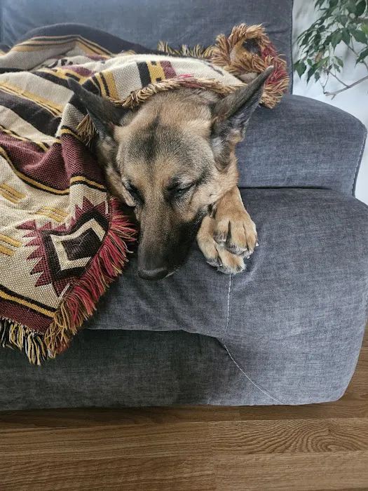 Animal Clinic of West Plains Picture 6