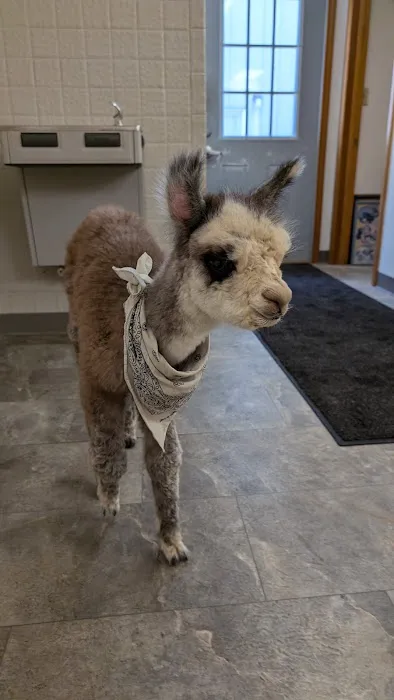 West Plains Veterinary Clinic Picture 5