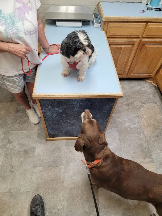 West Plains Veterinary Clinic Picture 2