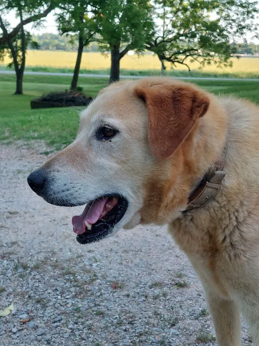 West Plains Veterinary Clinic Picture 6