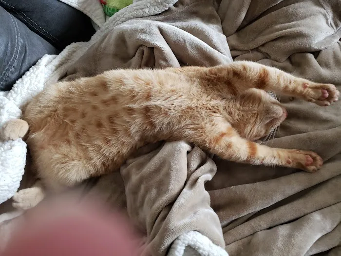 West Plains Veterinary Clinic Picture 8