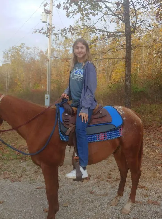 Animal Clinic & Equine Center Picture 3