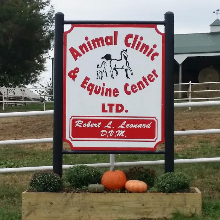 Animal Clinic & Equine Center Picture 5