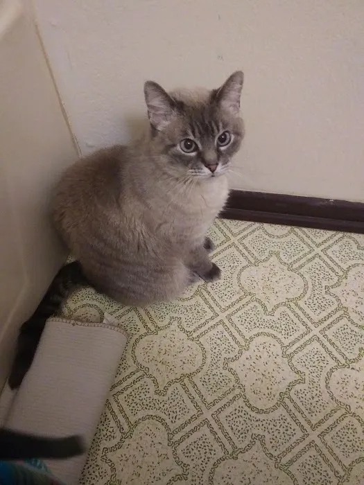 Iola Animal Clinic Picture 1