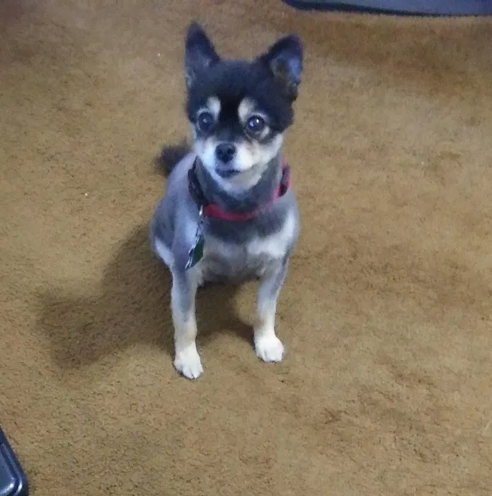 Iola Animal Clinic Picture 5