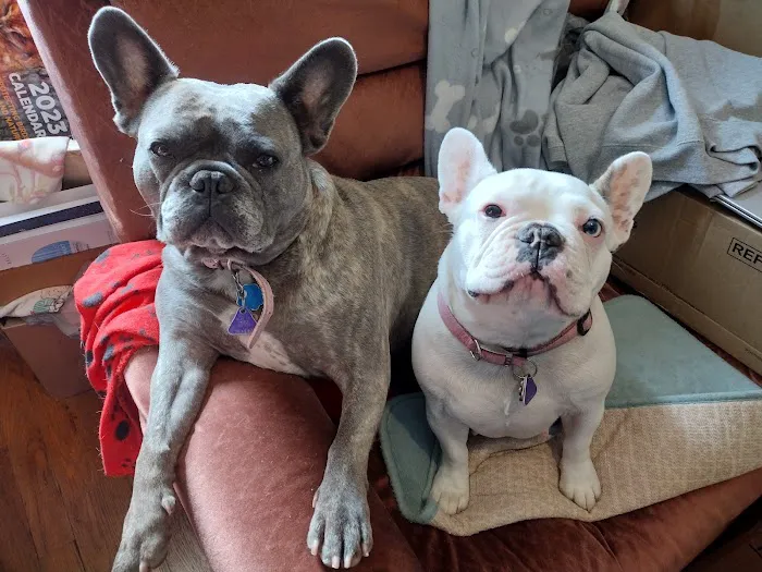 Iola Animal Clinic Picture 9