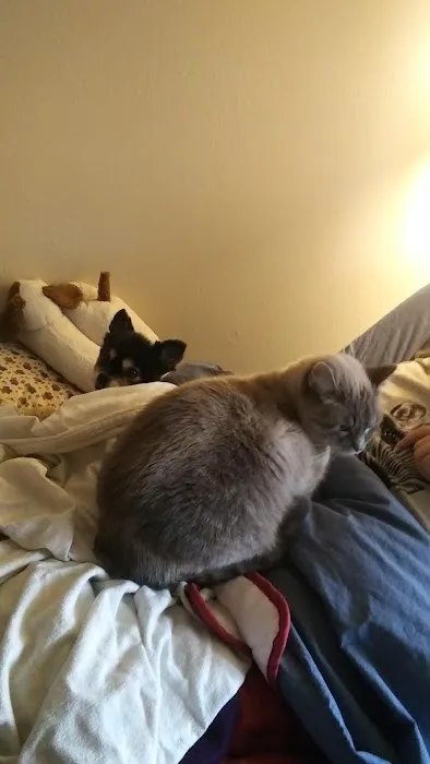 Iola Animal Clinic Picture 6