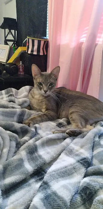 RED BARN VETERINARY SERVICE LLC Picture 2