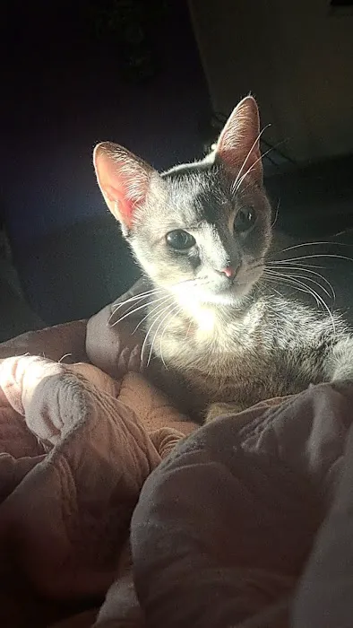 RED BARN VETERINARY SERVICE LLC Picture 4