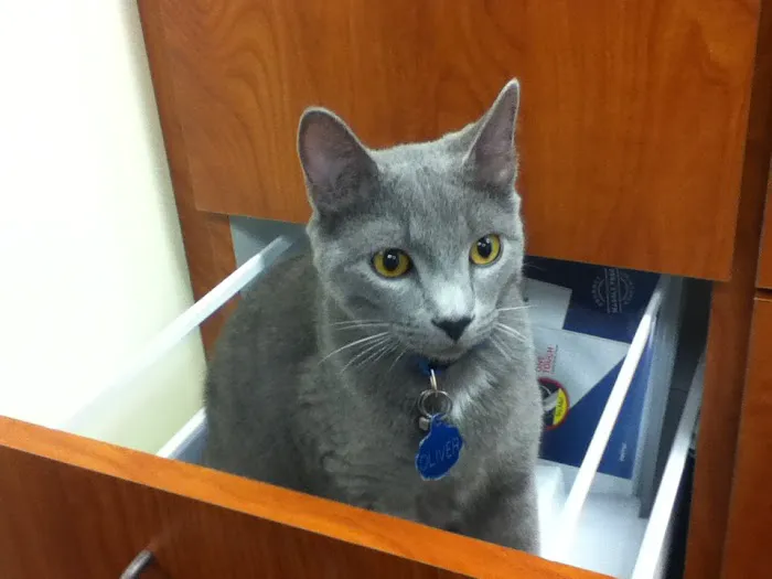 RED BARN VETERINARY SERVICE LLC Picture 5