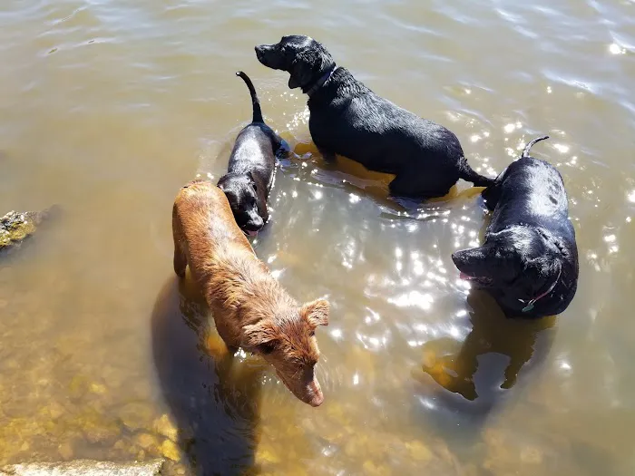 RED BARN VETERINARY SERVICE LLC Picture 7