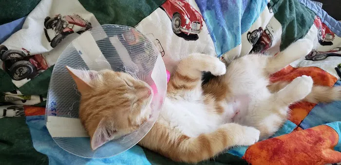 RED BARN VETERINARY SERVICE LLC Picture 8