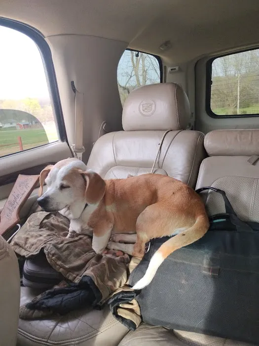 Barry County Veterinary Service PC Picture 4