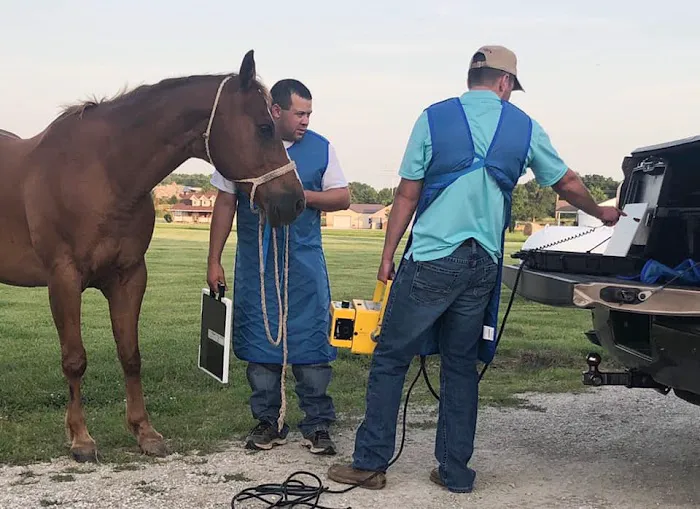 Smith Equine and Veterinary Services LLC Picture 3