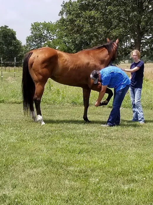 Smith Equine and Veterinary Services LLC Picture 6