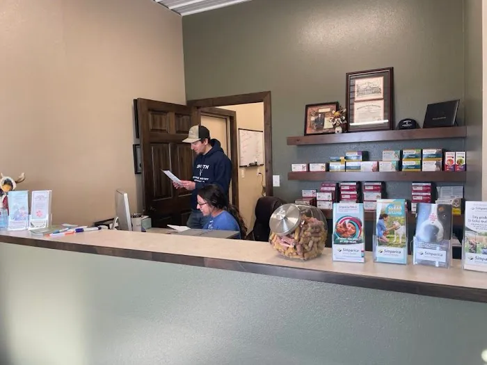 Smith Equine and Veterinary Services LLC Picture 7