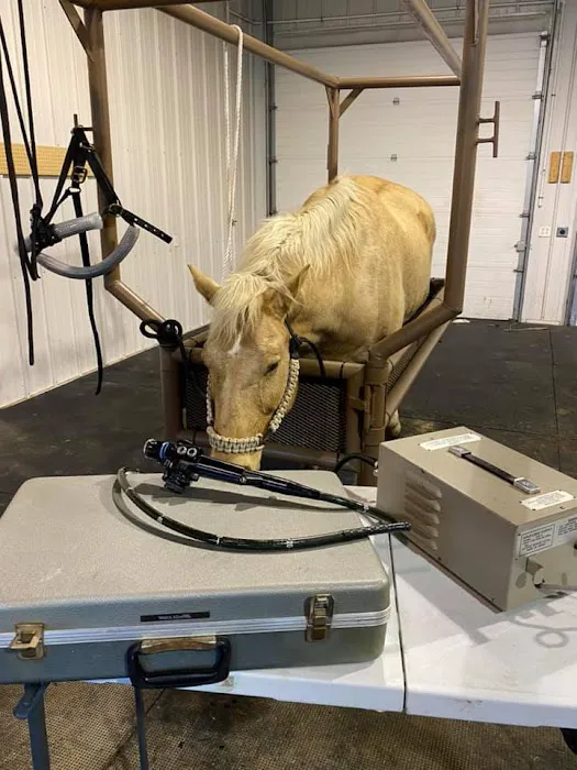 Smith Equine and Veterinary Services LLC Picture 5