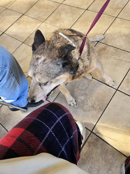 Carthage Animal Hospital Picture 4