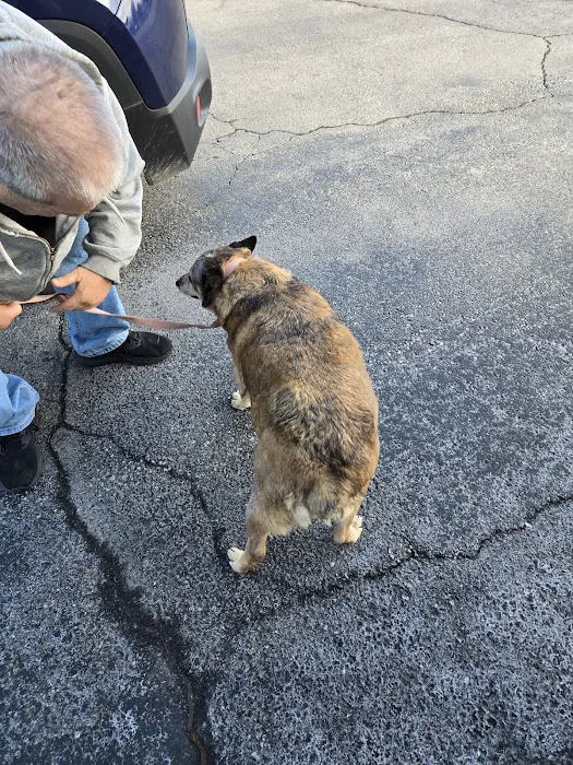 Carthage Animal Hospital Picture 3