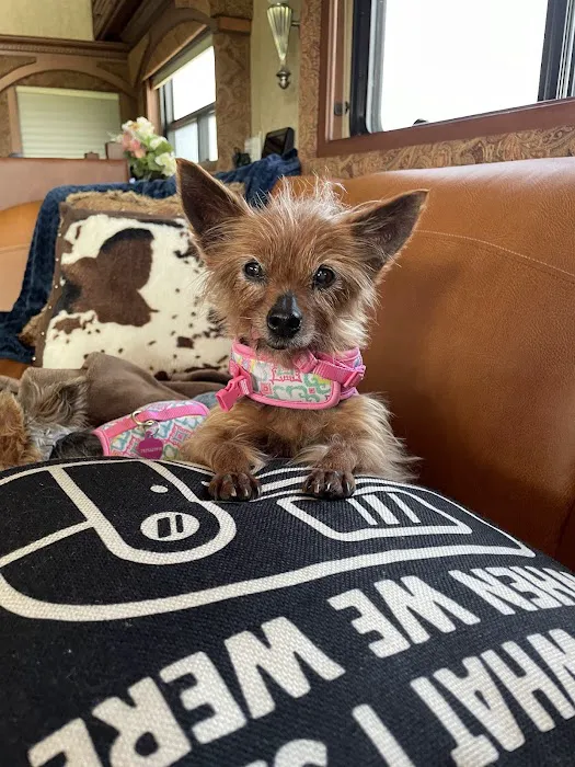 Carthage Animal Hospital Picture 5